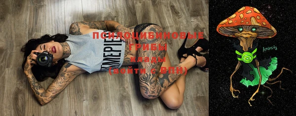 ECSTASY Волоколамск