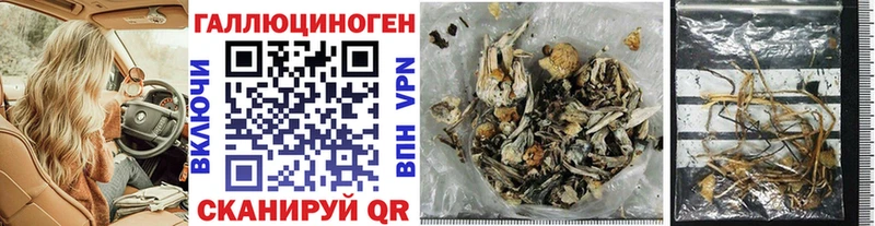 Купить где  Котельниково  Псилоцибиновые грибы MAGIC MUSHROOMS 