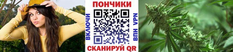 Купить  Котельниково  Бошки марихуана OG Kush 